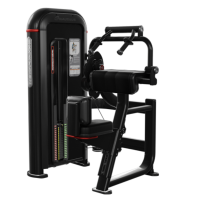 Nautilus Inspiration Strength® Triceps Extension Model 9-IPTE3